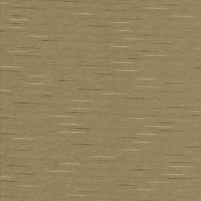Kasmir Fabric Boxwood Husk See sample 55% Cotton
45% Polyester
 TAIWAN 30,000 Wyzenbeek Double Rubs </p><p>Repeat: Horizontal: N/A and Vertical: N/A 54 - My Fabric Connection -
