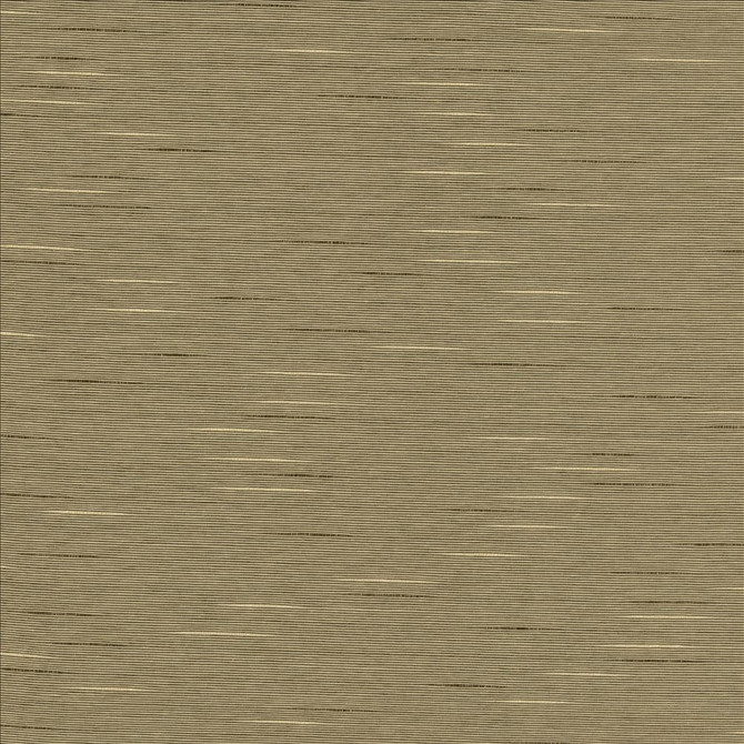 Kasmir Fabric Boxwood Husk 5002 55% Cotton
45% Polyester
 TAIWAN 30,000 Wyzenbeek Double Rubs </p><p>Repeat: Horizontal: N/A and Vertical: N/A 54 - My Fabric Connection -