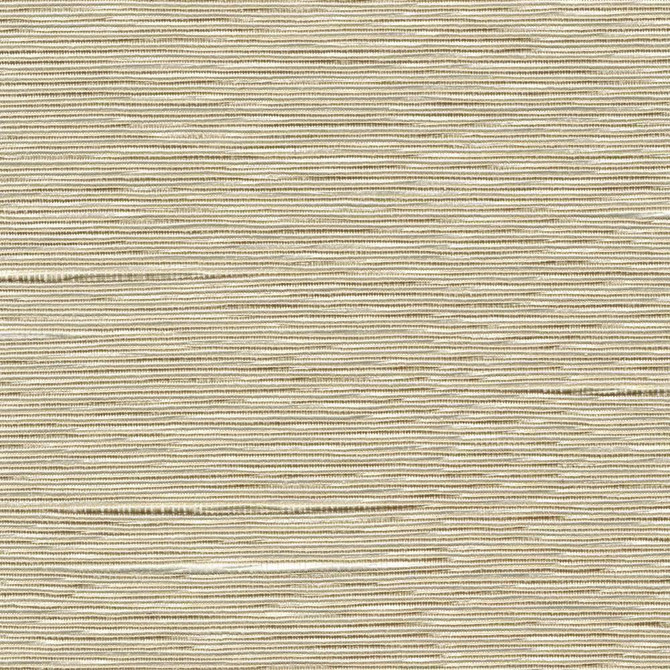 Kasmir Fabric Boxwood Oyster 5002 55% Cotton 45% Polyester TAIWAN 30,000 Wyzenbeek Double Rubs H: N/A, V:N/A 54 - 55 - My Fabric Connection - Kasmir