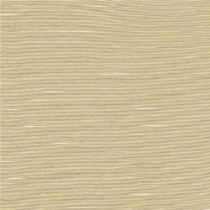 Kasmir Fabric Boxwood Oyster 5002 55% Cotton
45% Polyester
 TAIWAN 30,000 Wyzenbeek Double Rubs </p><p>Repeat: Horizontal: N/A and Vertical: N/A 54 - My Fabric Connection -