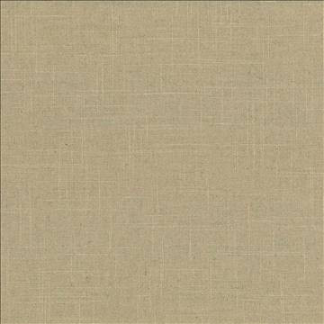 Kasmir Fabric Brigadoon Chamois 1377 55% Linen 45% Rayon CHINA 12,000 Wyzenbeek Double Rubs H: N/A, V: N/A 54 - 55 - My Fabric Connection - Kasmir
