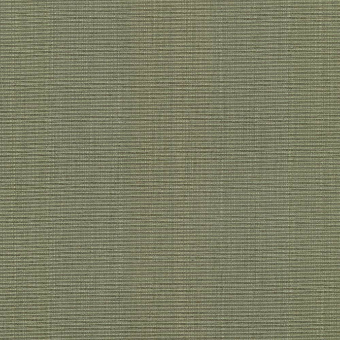 Kasmir Fabric Burnet Sage 5074 52% Cotton 31% Polyester 17% Rayon CHINA 60,000 Wyzenbeek Double Rubs H: N/A, V:N/A 58 - My Fabric Connection - Kasmir