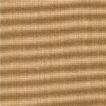 Kasmir Fabric Burnet Whiskey 5069 52% Cotton 31% Polyester 17% Rayon CHINA 60,000 Wyzenbeek Double Rubs H: N/A, V: N/A 58 - My Fabric Connection - Kasmir