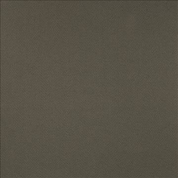 Kasmir Fabric Cavallis Graphite 5101 65% Cotton 35% Polyester CHINA 51,000 Wyzenbeek Double Rubs H: 2 inches, V: 3/8 inches 57 - My Fabric Connection - Kasmir