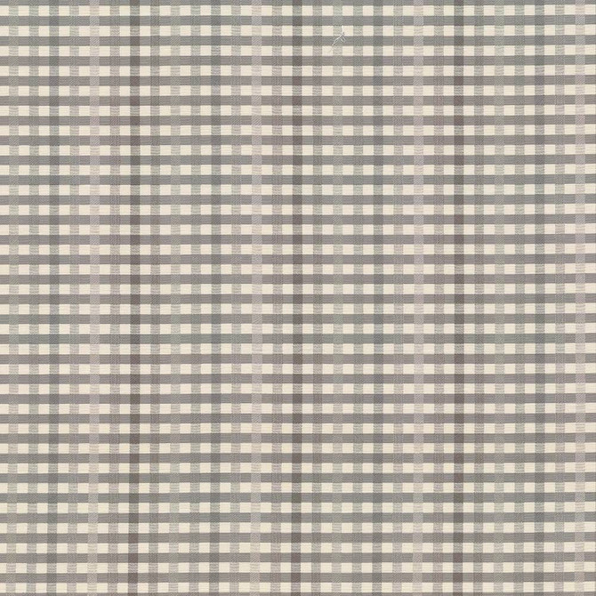 Kasmir Fabric Chloe Check Pearl Grey 5067 55% Cotton 45% Polyester TAIWAN 25,000 Wyzenbeek Double Rubs H: 13 4/8 inches, V:1 inches 54 - My Fabric Connection - Kasmir