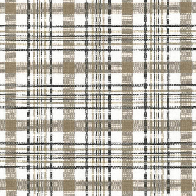 Kasmir Fabric Cicero Plaid Granite 5066 100% Cotton INDIA 30,000 Wyzenbeek Double Rubs H: 3 inches, V:3 inches 54 - My Fabric Connection - Kasmir