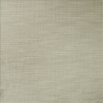 Kasmir Fabric Ciro Elephant 5100 56% Rayon 44% Polyester CHINA 51,000 Wyzenbeek Double Rubs H: N/A, V: N/A 55 - My Fabric Connection - Kasmir