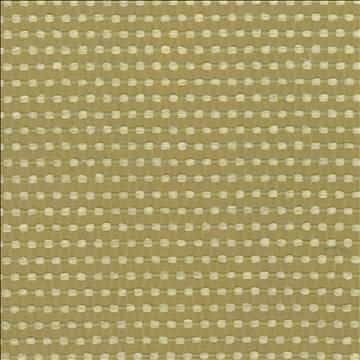 Kasmir Fabric Come And Go Sprout 5074 100% Polyester CHINA 27,000 Wyzenbeek Double Rubs H: 4/8 inches, V: 1 inches 56 - My Fabric Connection - Kasmir