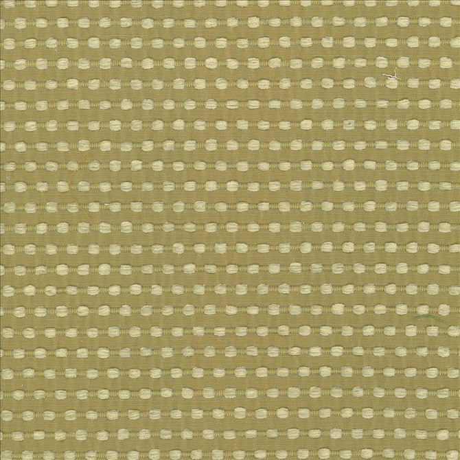 Kasmir Fabric Come And Go Sprout 5074 100% Polyester
 CHINA 27,000 Wyzenbeek Double Rubs Horizontal: 4/8 inches and Vertical: 1 inches 56 - My Fabric Connection -