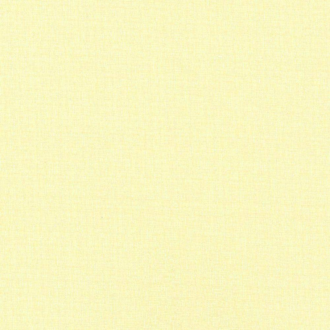 Kasmir Fabric Cross Fit Linen 5076 100% Polyester TURKEY H: N/A, V:N/A 118 - My Fabric Connection - Kasmir