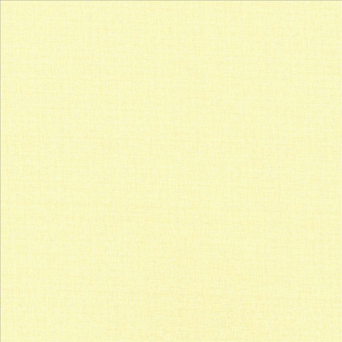 Kasmir Fabric Cross Fit Linen 5076 100% Polyester
 TURKEY </p><p>Repeat: Horizontal: N/A and Vertical: N/A 117 - My Fabric Connection -