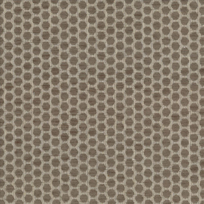 Kasmir Fabric Delightful Dots Truffle 1438 42% Acrylic
33% Polyester
25% Cotton
 TURKEY 31,000 Martindale Cycles Horizontal: 1 inches and Vertical: 5/8 inches 54 - My Fabric Connection -
