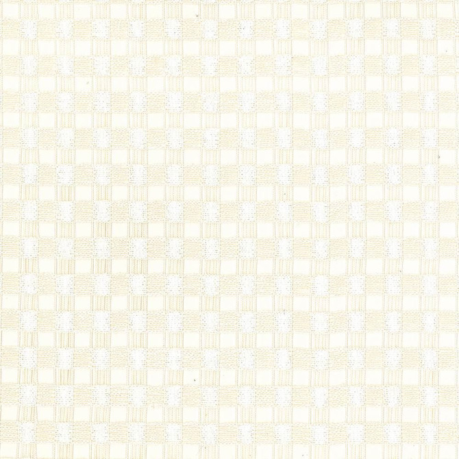 Kasmir Fabric Enmeshed Ivory See sample 100% Polyester
 GERMANY </p><p>Repeat: Horizontal: 7/8 inches and Vertical: 7/8 inches 117 - My Fabric Connection -