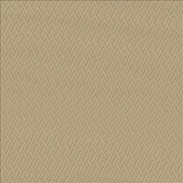 Kasmir Fabric Fidelio Camel 5093 100% Polyester CHINA 60,000 Wyzenbeek Double Rubs H: 1 inches, V: 1 inches 56 - My Fabric Connection - Kasmir