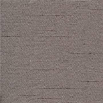 Kasmir Fabric Firenza Charcoal 1246 100% Polyester INDIA 9,000 Wyzenbeek Double Rubs H: N/A, V: N/A 54 - 55 - My Fabric Connection - Kasmir