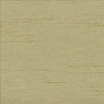 Kasmir Fabric Firenza Sage 1246 100% Polyester INDIA 9,000 Wyzenbeek Double Rubs H: N/A, V: N/A 54 - 55 - My Fabric Connection - Kasmir