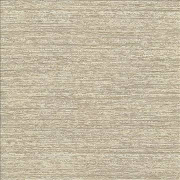 Kasmir Fabric Freeport Texture Desert 5066 72% Polyester 16% Cotton 12% Rayon INDIA 30,000 Wyzenbeek Double Rubs H: N/A, V: N/A 54 - 55 - My Fabric Connection - Kasmir