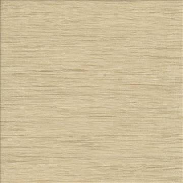 Kasmir Fabric G250 Honey 1312 75% Polyester 25% Viscose INDIA Not Tested H: N/A, V: N/A 54 - My Fabric Connection - Kasmir