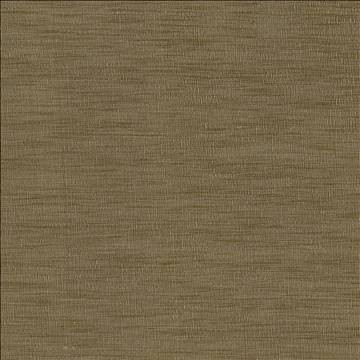 Kasmir Fabric Gainsford Driftwood 5060 75% Polyester 25% Viscose INDIA Not Tested H: N/A, V: N/A 54 - My Fabric Connection - Kasmir