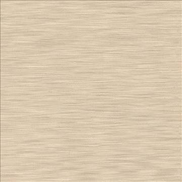 Kasmir Fabric Gainsford Sandstone 5060 75% Polyester 25% Viscose INDIA Not Tested H: N/A, V: N/A 54 - My Fabric Connection - Kasmir