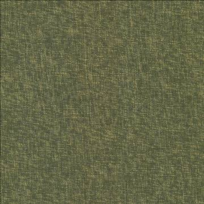 Kasmir Fabric Gobo Forest 5074 60% Polyester 40% Rayon INDIA 30,000 Wyzenbeek Double Rubs H: N/A, V: N/A 54 - 55 - My Fabric Connection - Kasmir
