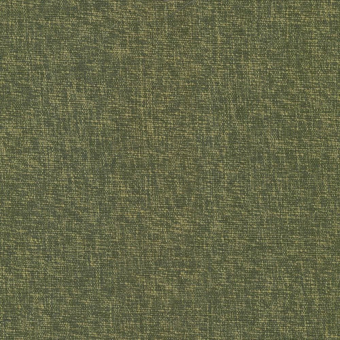 Kasmir Fabric Gobo Forest 5074 60% Polyester
40% Rayon
 INDIA 30,000 Wyzenbeek Double Rubs </p><p>Repeat: Horizontal: N/A and Vertical: N/A 54 - My Fabric Connection -