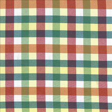 Kasmir Fabric Grimaldi Check Summer 5069 100% Cotton INDIA 30,000 Wyzenbeek Double Rubs H: 6 6/8 inches, V: 13 4/8 inches 54 - My Fabric Connection - Kasmir