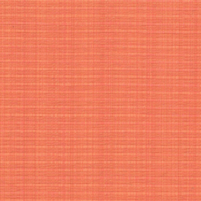 Kasmir Fabric In Flux Melon 1439 INDIA 15,000 Wyzenbeek Double Rubs H: N/A, V:N/A 54 - 55 - My Fabric Connection - Kasmir