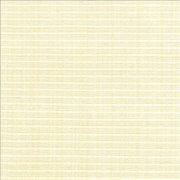 Kasmir Fabric In Flux Natural 1439 100% Cotton INDIA 15,000 Wyzenbeek Double Rubs H: N/A, V: N/A 54 - 55 - My Fabric Connection - Kasmir