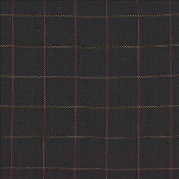 Kasmir Fabric Keheley Noir 1438 100% Cotton INDIA 12,000 Wyzenbeek Double Rubs H: 3 inches, V: 3 inches 53 - 54 - My Fabric Connection - Kasmir