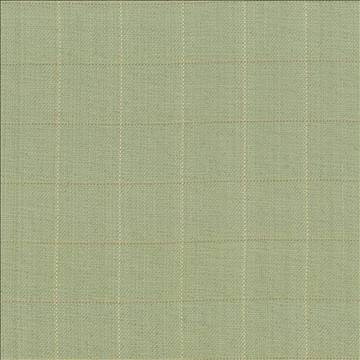 Kasmir Fabric Keheley Thyme 1442 100% Cotton INDIA 12,000 Wyzenbeek Double Rubs H: 3 inches, V: 3 inches 53 - 54 - My Fabric Connection - Kasmir