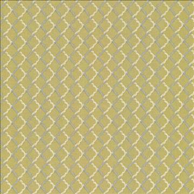Kasmir Fabric Kilburne Peridot 1442 100% Polyester TURKEY 30,000 Wyzenbeek Double Rubs H: 6/8 inches, V: 6/8 inches 56 - 57 - My Fabric Connection - Kasmir