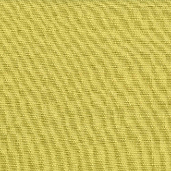Kasmir Fabric Lismore Chartreuse 1432 BRAZIL 8,000 Wyzenbeek Double Rubs H: N/A, V:N/A 54 - My Fabric Connection - Kasmir