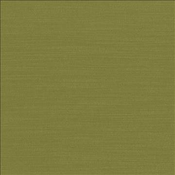 Kasmir Fabric Luxe Chartreuse 1447 88% Rayon 12% Polyester USA 21,000 Wyzenbeek Double Rubs H: N/A, V: N/A 54 - My Fabric Connection - Kasmir