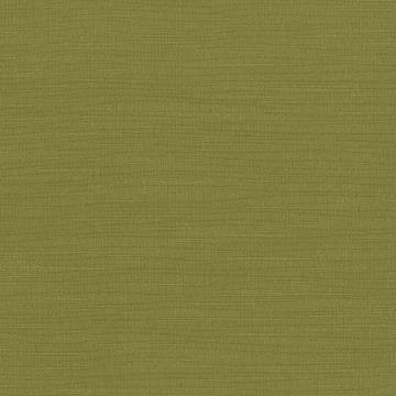 Kasmir Fabric Luxe Chartreuse 1447 / 37 88% Rayon
12% Polyester 21,000 Wyzenbeek Double Rubs </p><p>Repeat: Horizontal: N/A and Vertical: N/A 54 Inches - My Fabric Connection -