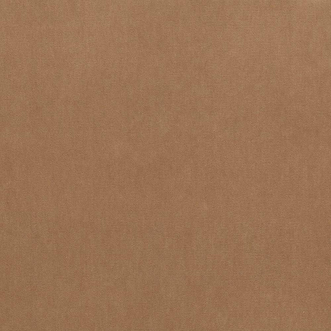 Kasmir Fabric Maison Royale Camel 1448 CHINA 201,000 Wyzenbeek Double Rubs H: N/A, V:N/A 54 - My Fabric Connection - Kasmir