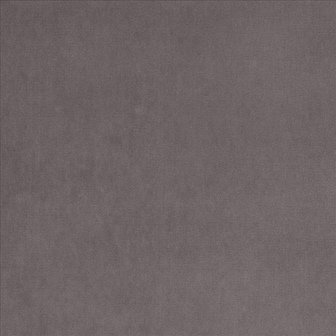 Kasmir Fabric Maison Royale Heather 1448 75% Polyester
25% Cotton
 CHINA </p><p>Repeat: Horizontal: N/A and Vertical: N/A 54 - My Fabric Connection -