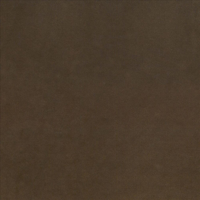 Kasmir Fabric Maison Royale Truffle 1448 75% Polyester
25% Cotton
 CHINA </p><p>Repeat: Horizontal: N/A and Vertical: N/A 54 - My Fabric Connection -