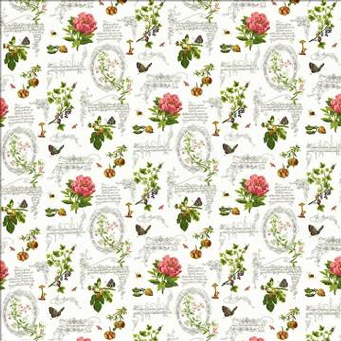 Kasmir Fabric Nature Walk Limestone 5106 100% Cotton PERU 15,000 Wyzenbeek Double Rubs H: 26 4/8 inches, V: 26 inches 54 - My Fabric Connection - Kasmir