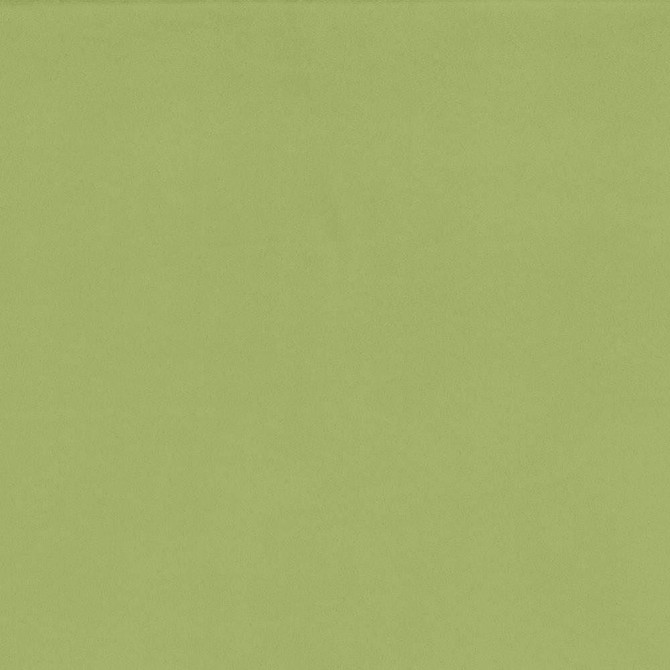 Kasmir Fabric Opus Celery See sample 100% Polyester
 CHINA 100,000 Wyzenbeek Double Rubs </p><p>Repeat: Horizontal: N/A and Vertical: N/A 55 - My Fabric Connection -