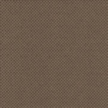 Kasmir Fabric Paquin Chestnut 5101 55% Cotton 45% Polyester TAIWAN 30,000 Wyzenbeek Double Rubs H: 4/8 inches, V: 4/8 inches 54 - 55 - My Fabric Connection - Kasmir
