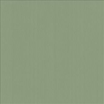 Kasmir Fabric Pietra Stripe Sage 5099 100% Polyester TAIWAN 36,000 Wyzenbeek Double Rubs H: 2/8 inches, V: N/A 56 - 58 - My Fabric Connection - Kasmir
