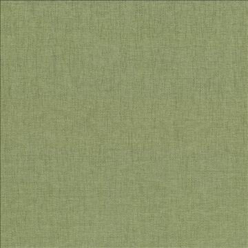 Kasmir Fabric Pinnacle Aloe 1353 100% Polyester INDIA 102,000 Wyzenbeek Double Rubs H: N/A, V: N/A 54 - 55 - My Fabric Connection - Kasmir