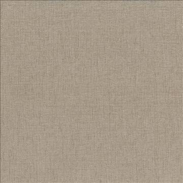 Kasmir Fabric Pinnacle Barley 5046 100% Polyester INDIA 102,000 Wyzenbeek Double Rubs H: N/A, V: N/A 54 - 55 - My Fabric Connection - Kasmir