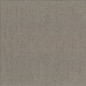 Kasmir Fabric Pinnacle Cement 5046 100% Polyester INDIA 102,000 Wyzenbeek Double Rubs H: N/A, V: N/A 54 - 55 - My Fabric Connection - Kasmir