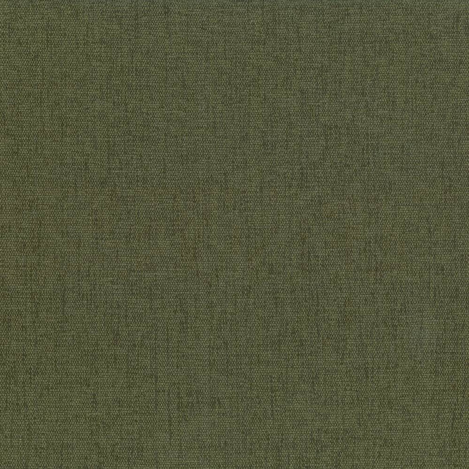 Kasmir Fabric Pinnacle Forest 5046 INDIA 102,000 Wyzenbeek Double Rubs H: N/A, V:N/A 54 - 55 - My Fabric Connection - Kasmir