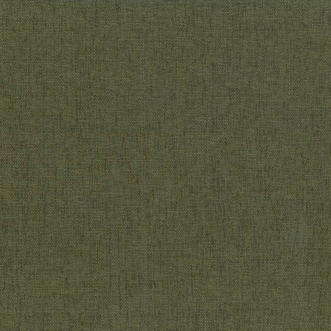 Kasmir Fabric Pinnacle Forest 5046 100% Polyester
 INDIA </p><p>Repeat: Horizontal: N/A and Vertical: N/A 54 - 55 - My Fabric Connection -