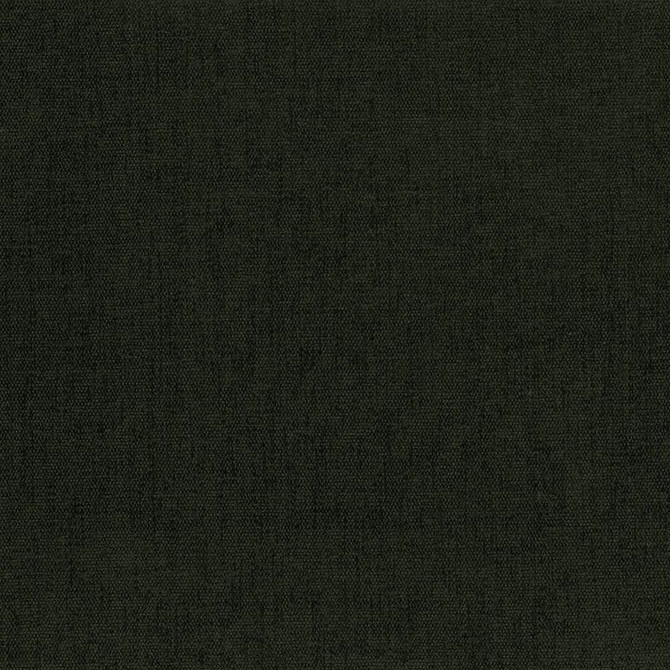 Kasmir Fabric Pinnacle Moss 5046 100% Polyester
 INDIA 102,000 Wyzenbeek Double Rubs </p><p>Repeat: Horizontal: N/A and Vertical: N/A 54 - My Fabric Connection -