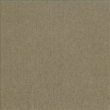 Kasmir Fabric Pinnacle Olive 1353 100% Polyester INDIA 102,000 Wyzenbeek Double Rubs H: N/A, V: N/A 54 - 55 - My Fabric Connection - Kasmir