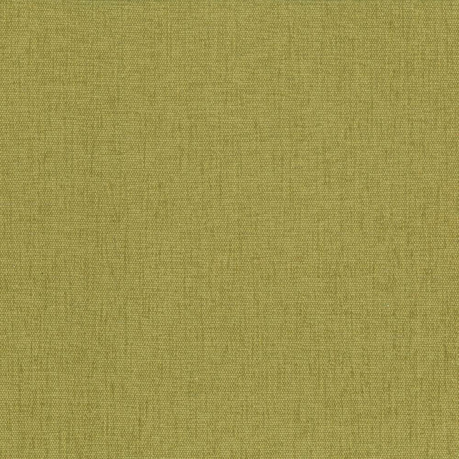 Kasmir Fabric Pinnacle Palm 5046 100% Polyester
 INDIA </p><p>Repeat: Horizontal: N/A and Vertical: N/A 54 - 55 - My Fabric Connection -